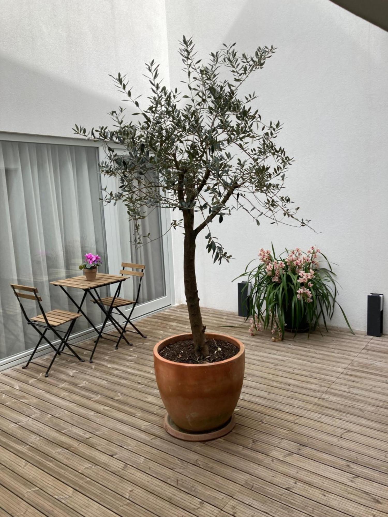 Ribeira Flores 59 Downtown Apartments 波尔图 外观 照片
